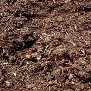 Horse And Chicken Manure Mushroom Compost Topsoil Compost Dandys Topsoil 5 Cubic Metres Tipped Loose 226632 300X300 Crop Center