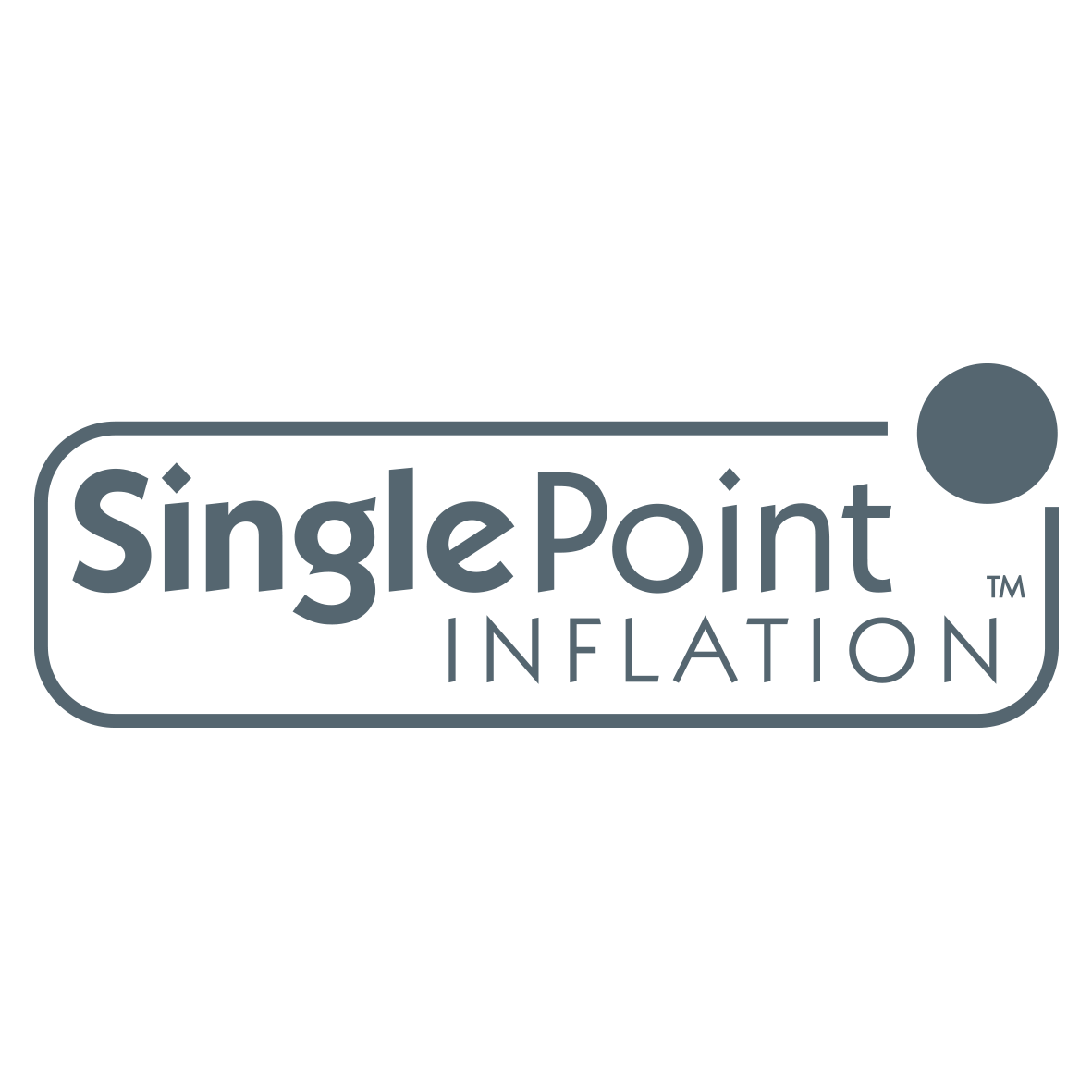Single Point Inflation Logo Charcoal