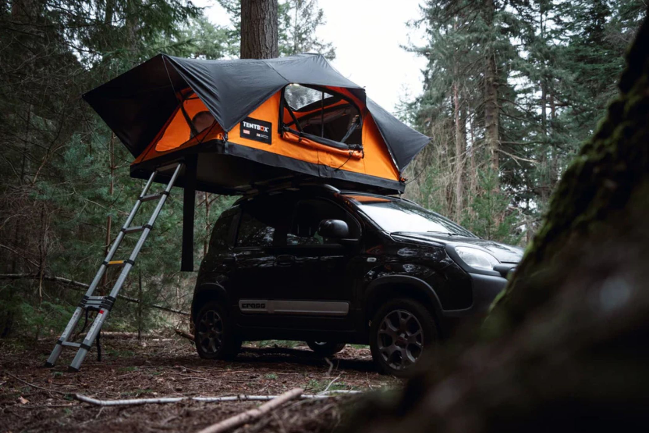 TentBox on top of car in forest